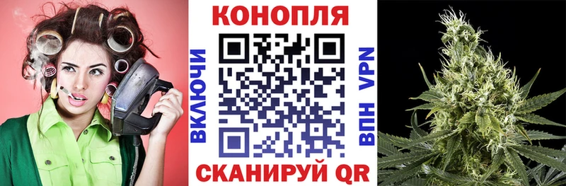 Бошки Шишки сатива  Купить закладки  Полярные Зори 